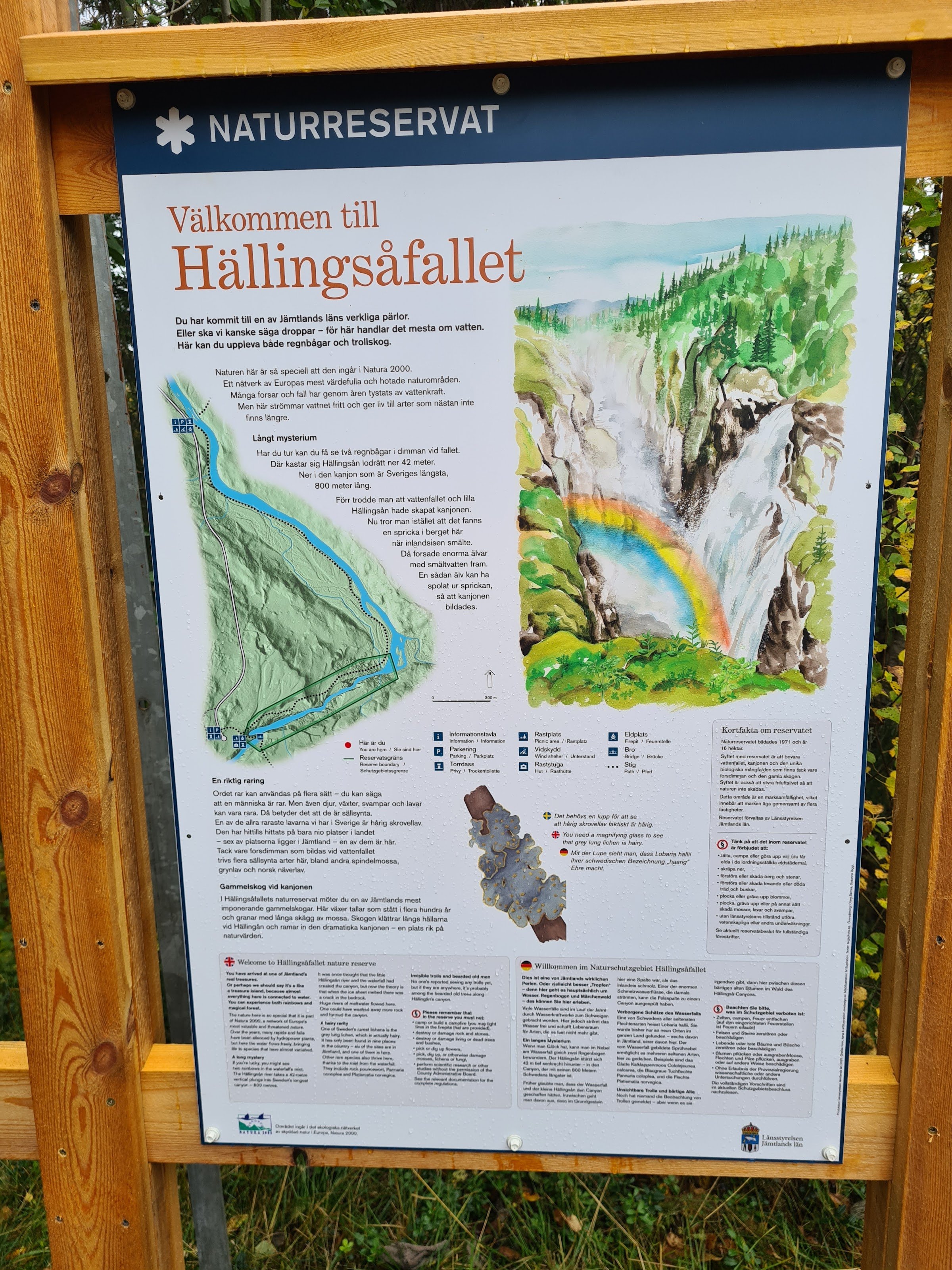 Hällingsåfallet